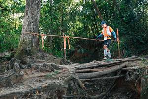 BIB: 
                            <button type="button" onclick="openModal(27751829)" class="btn btn-primary btn-sm float-right btn-popup" data-toggle="modal" data-target=".modal-high-quality">
                        <i class="fas fa-shopping-cart"></i> Add to Cart
                    </button>
                                            <button type="button" onclick="isThisMe(27751829, true)" class="btn btn-success btn-sm float-right btn-popup btn-isme hidden" data-toggle="tooltip" data-placement="bottom" title="นี่คือรูปของคุณใช่ไหม คลิกที่นี่เพื่อเอาเข้าอัลบั้ม">
                        <i class="fas fa-plus"></i> Add to album
                    </button>
                    <button type="button" onclick="isThisMe(27751829, false)" class="btn btn-warning btn-sm float-right btn-popup btn-isnotme hidden">
                        <i class="fas fa-ban"></i> Remove from album
                    </button>